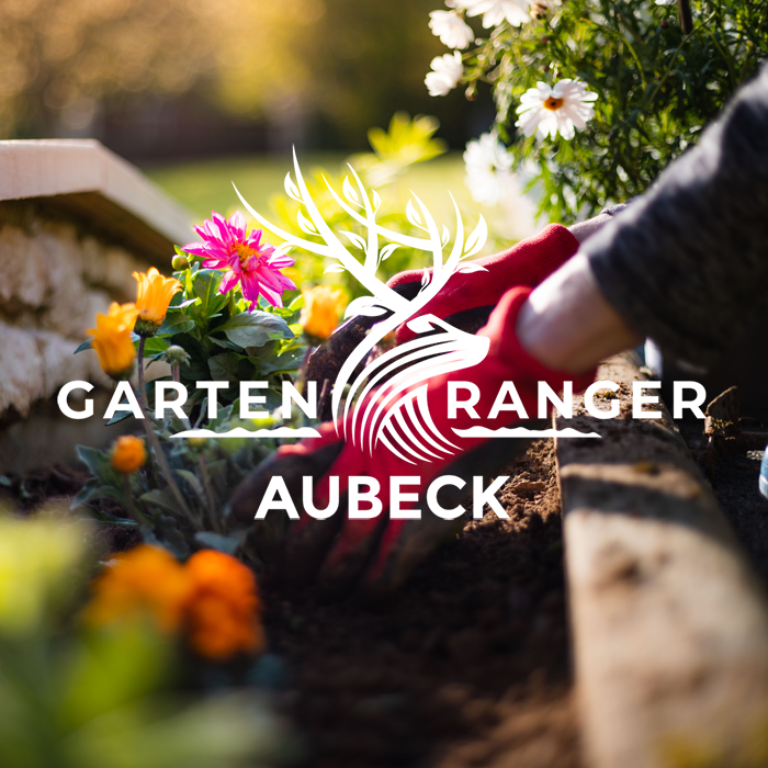 Blumen werden in Beet gepflanzt
