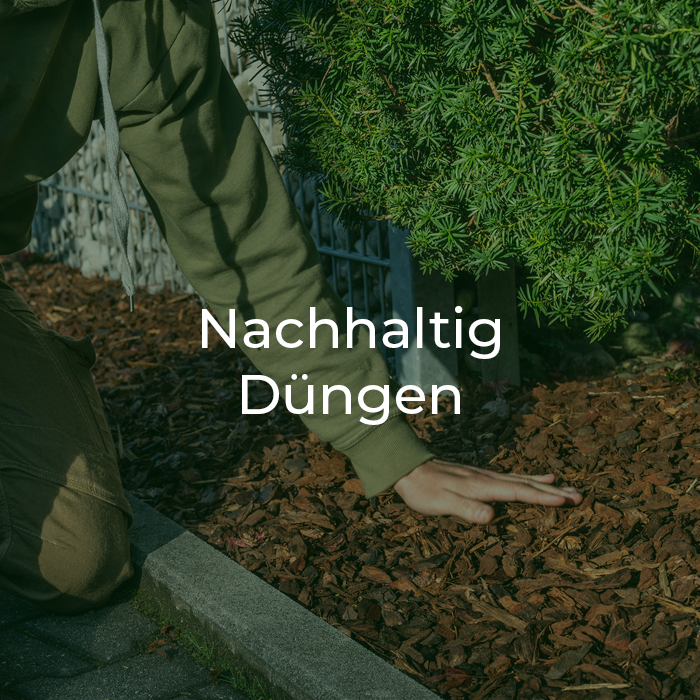 Beet wird gedüngt