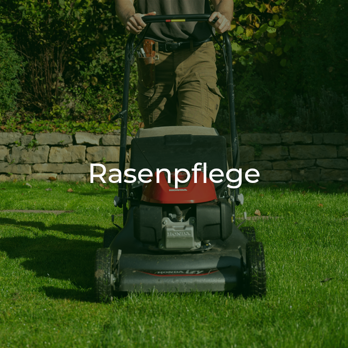 Rasenmaeher